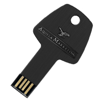 Aquila pendrive